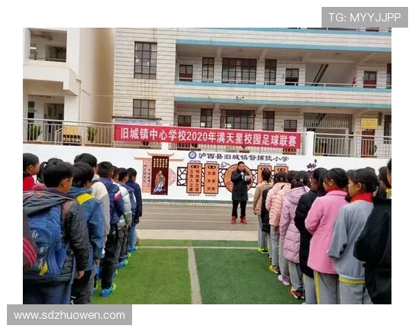 足球星钢笔展现激情与梦想书写绿茵场上永不言弃精神